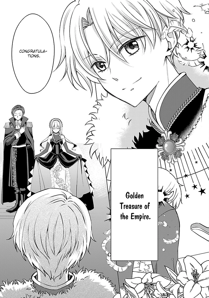 I Became My Idol’s Sister, So I’ll Be a Villainess to Keep My Brother. Chapter 5 - . Page 27